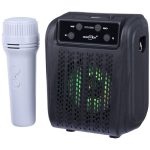 GTS-2005 Bluetooth Speaker with Wireless Microphone