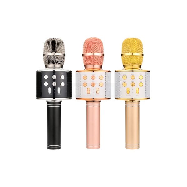 Wireless Karaoke Microphone WS-858