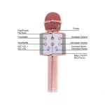 Wireless Karaoke Microphone WS-858 - Image 5